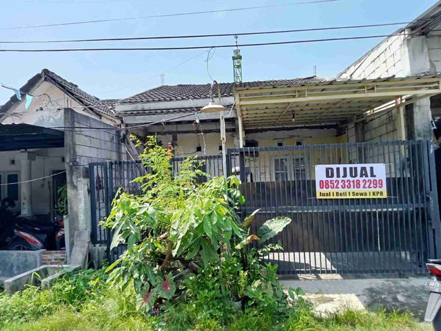 Nego Sampai Deal Palem Nirwana