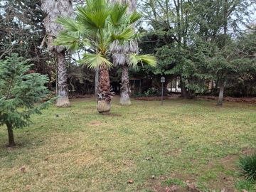 place photo 34