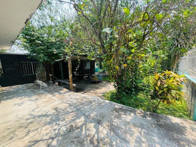 place photo 11
