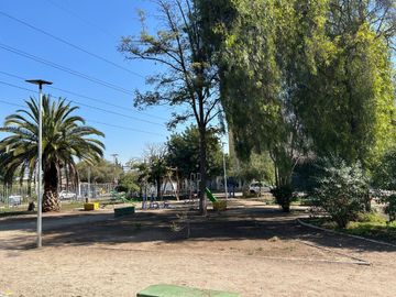 place photo 18