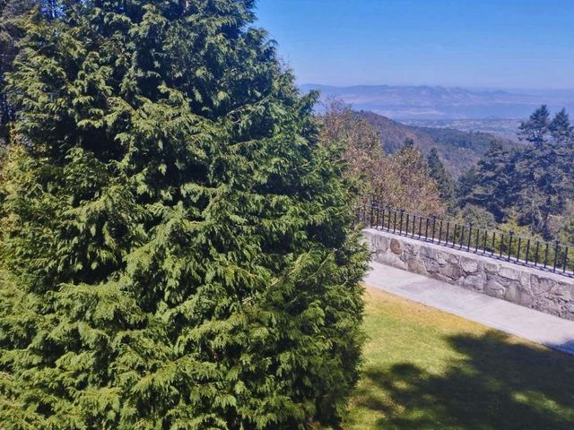 place photo 72