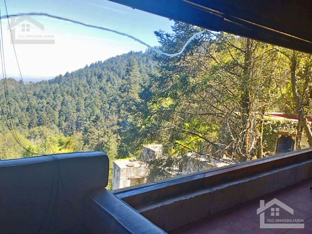 place photo 46