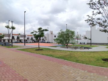place photo 34