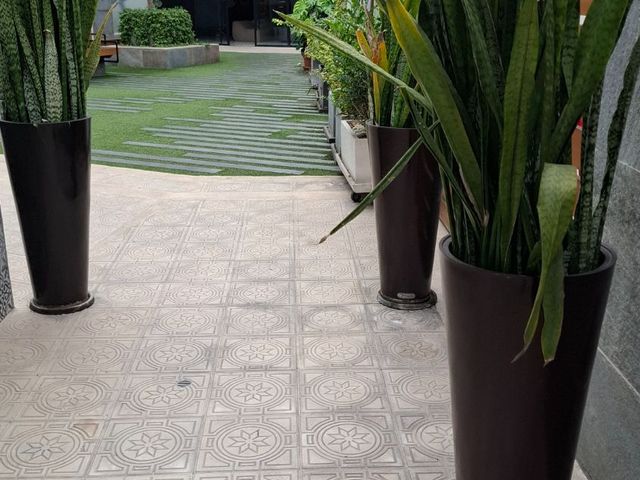 place photo 89