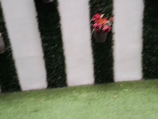 place photo 107