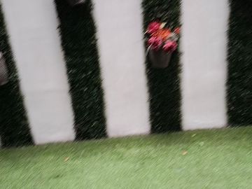 place photo 107