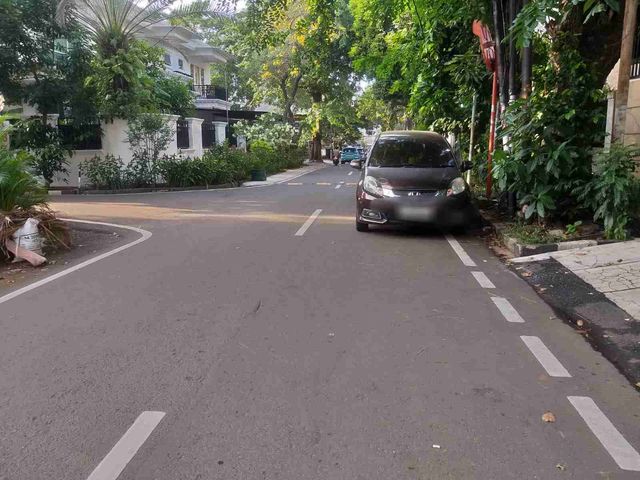 place photo 15