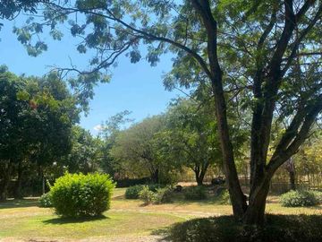 place photo 38