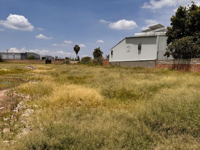 place photo 28