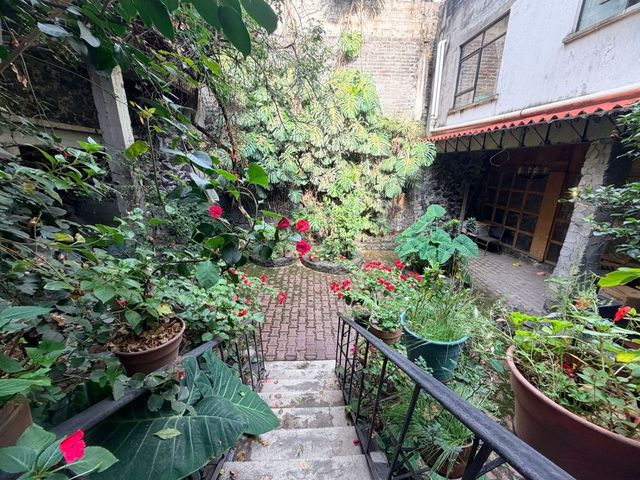 place photo 33