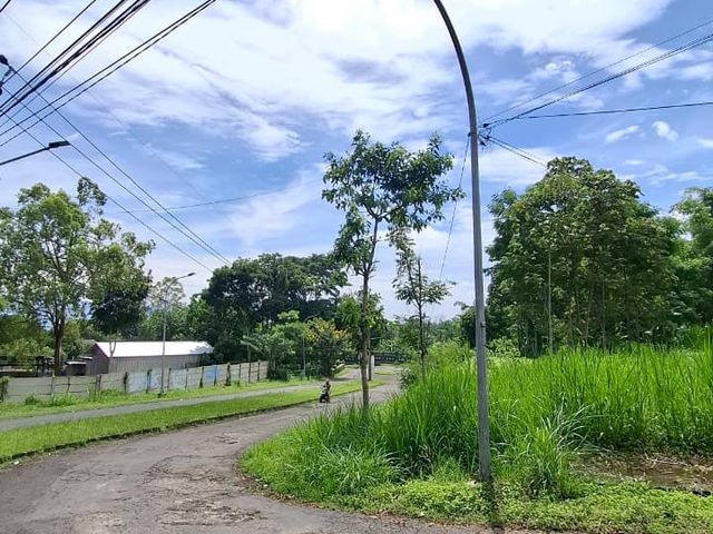place photo 13