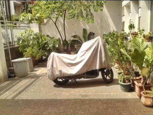 place photo 21