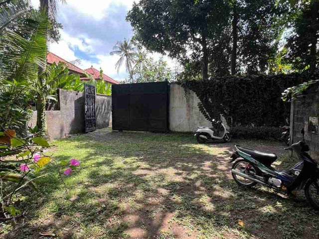 place photo 6