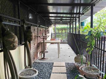 place photo 41