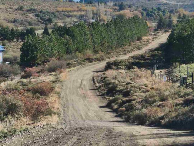 place photo 18