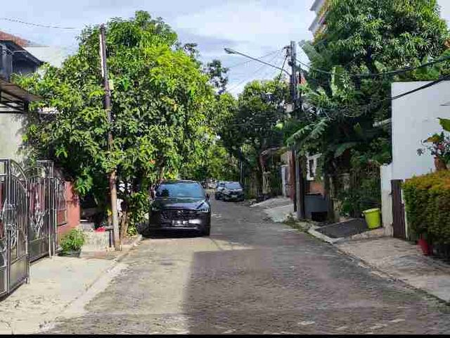 place photo 8