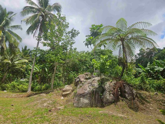place photo 22