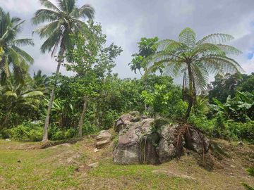 place photo 22