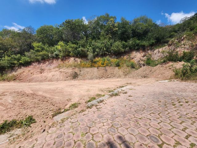 place photo 23