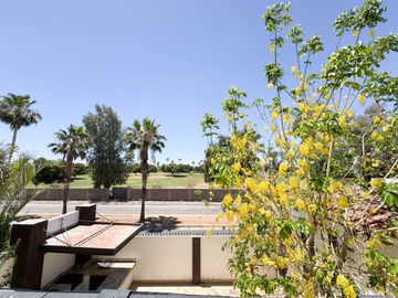 place photo 48