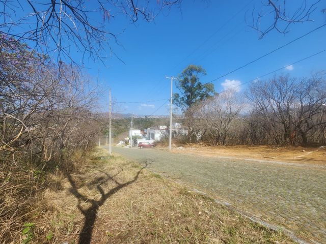 place photo 30
