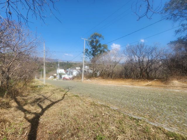place photo 32
