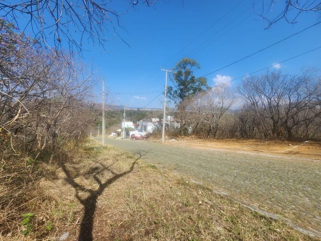 place photo 33