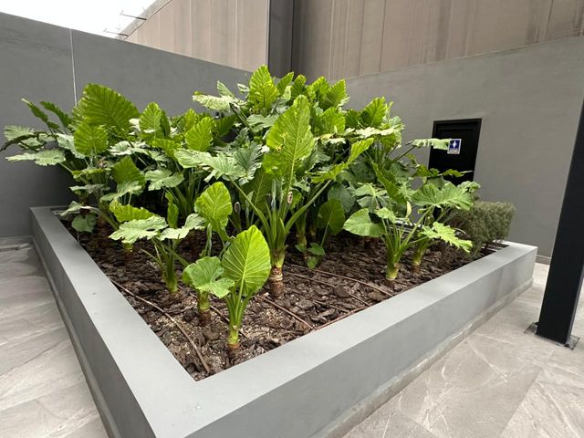 place photo 19