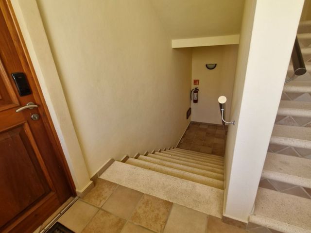 place photo 74