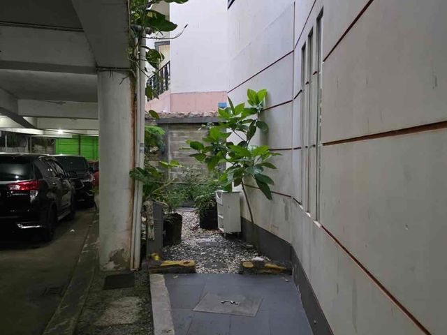 place photo 13