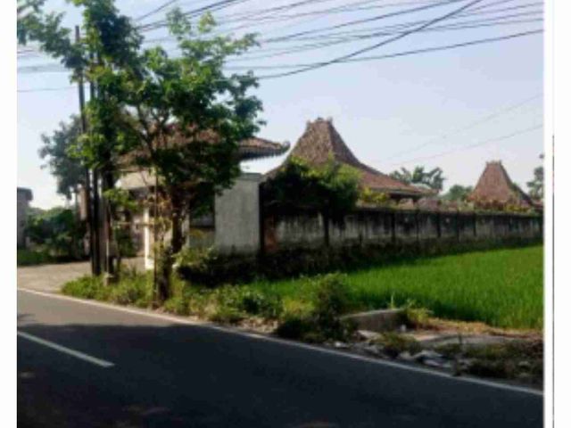 place photo 6