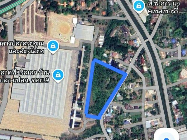 place photo 13