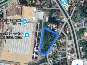 place photo 13