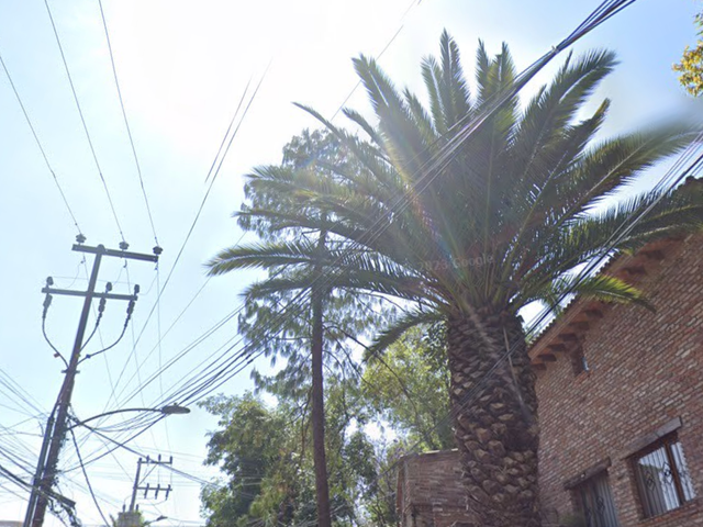 place photo 5