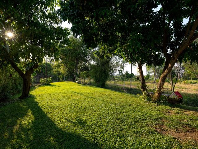place photo 44