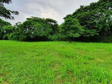 Rolling Meadows 2 Lot for Sale San Bartolome Novaliches Quezon City