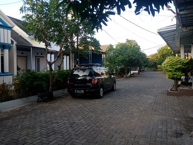 place photo 15