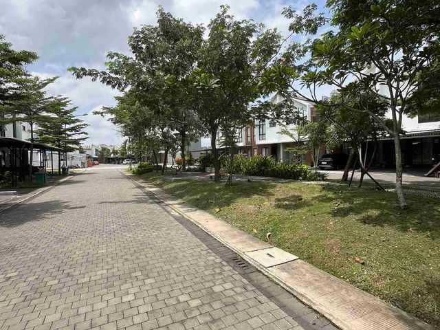 place photo 12