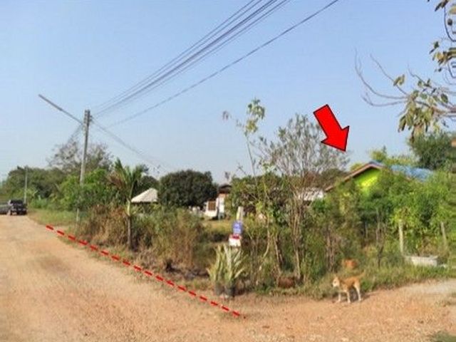 place photo 1