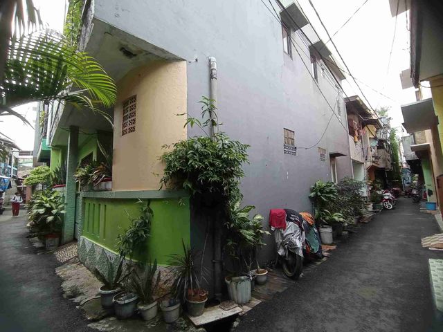 place photo 17