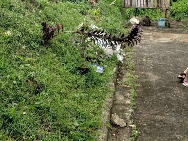 Residential Lot in Lucena City