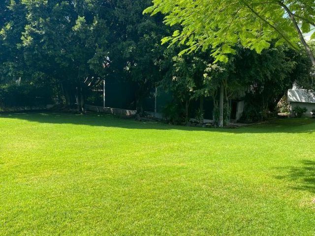 place photo 21