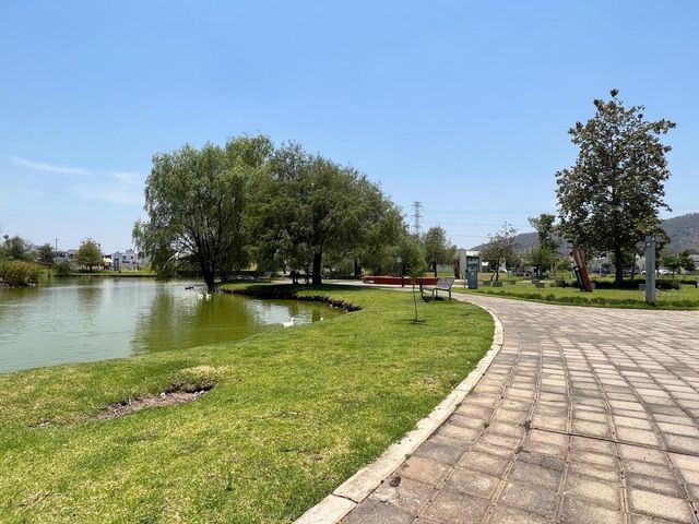 place photo 34