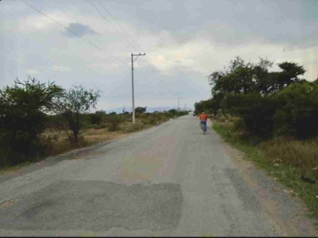 place photo 8