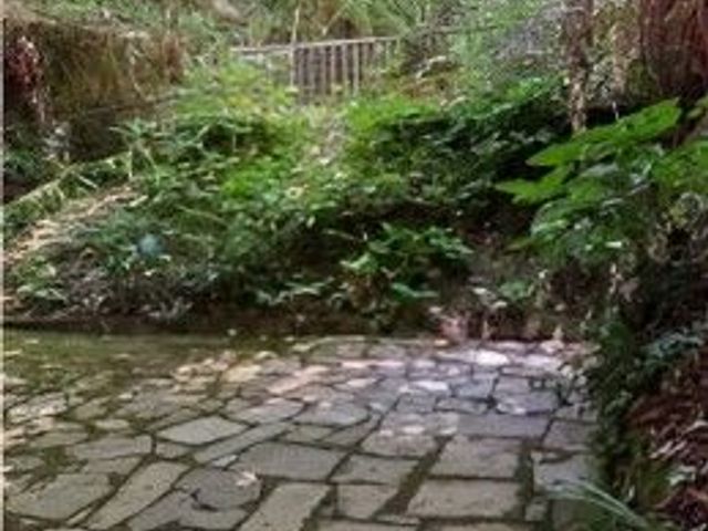place photo 35