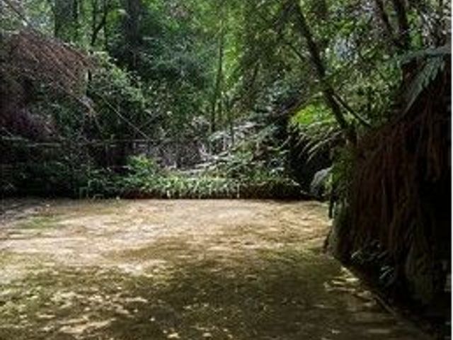 place photo 40