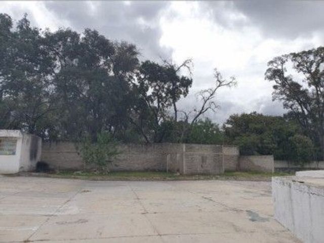 place photo 22
