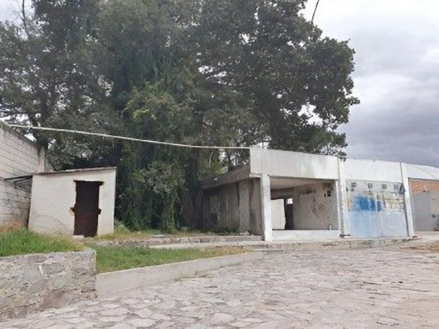 place photo 24