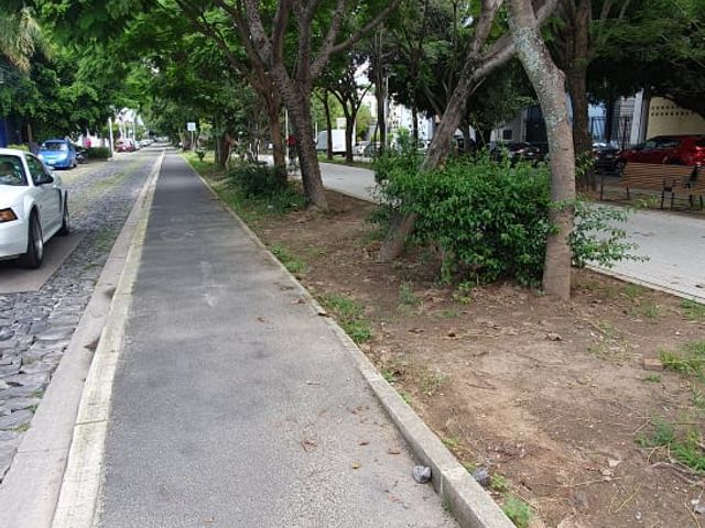 place photo 55