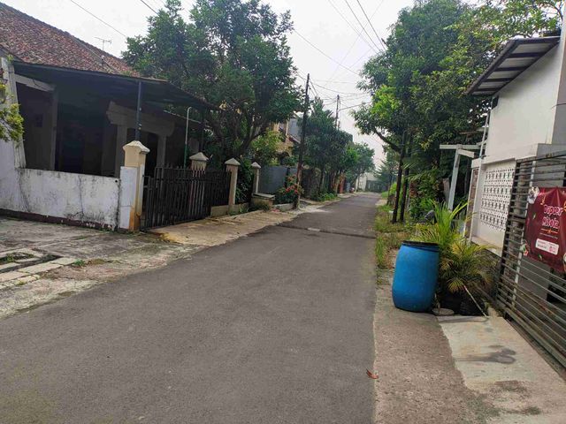 place photo 17